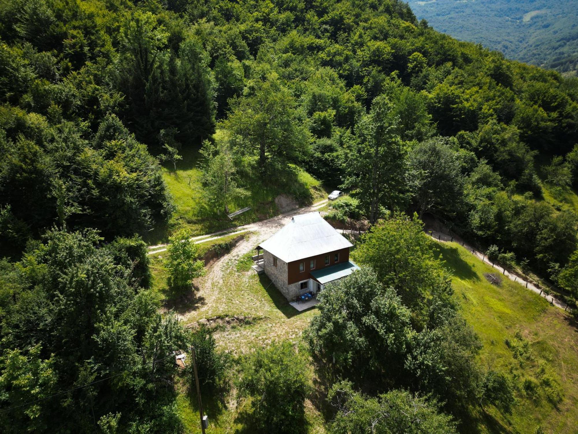 Ethno Guesthouse Tara Mojkovac Eksteriør billede